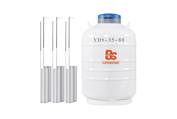 YDS series liquid nitrogen tank
