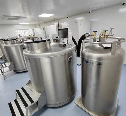 In 2025, we will collaborate with the laboratory of Moscow Hospital in Russia to deliver liquid nitrogen and supply tanks for biological samples.